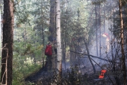 В Коми сотни гектаров леса охвачены огнем