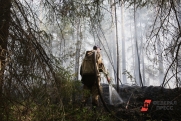 Видеонаблюдение помогает быстрее тушить пожары в Ростовской области
