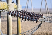 Энергетический форс-мажор: очередная авария вновь снизила нефтедобычу в Казахстане