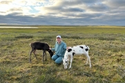 «Шерше ля фам» по-ненецки: как в НАО женщина-председатель спасла оленеводческое хозяйство от разорения