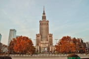 Польский политик раскритиковал «лохов» из правительства после слов о Путине на ГА ООН