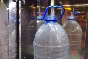 Токсиколог объяснил, чем грозит частое питье воды из крана