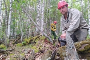 Защищая легкие планеты: в России прошли Дни леса