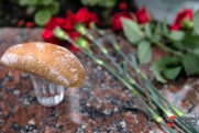 Кому достанется наследство Гришечкина