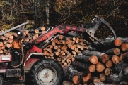 В Красноярском крае поддержат предпринимателей лесопромышленности