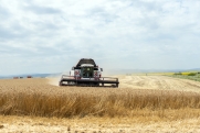 Глава агрохолдинга «Ситно»: «Уборка зерновых будет завершена, хоть и с опозданием»