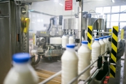 Тюменский молочный гигант произвел тонны продукции из неизвестного сырья