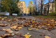 Солнце порадует самарцев перед первым снегом: синоптики рассказали о предстоящей погоде