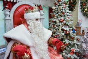 Стало известно, сколько зарабатывают Деды Морозы в городах РФ