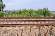 В Кыштыме екатеринбуржцы застряли на рельсах перед поездом: «Оставались считанные секунды»