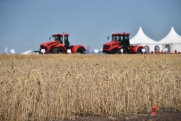 Фермер о влиянии погоды в Челябинской области на урожай: «Наше зерно становится невостребованным»
