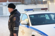 Челябинская ГИБДД выступила с экстренным обращением