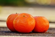 6 признаков хороших мандаринов: на что обратить внимание при покупке новогоднего фрукта