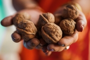 Диетолог Арзамасцев объяснил, почему нельзя есть орехи на голодный желудок