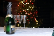 Нарколог Луньков назвал допустимое количество алкоголя на новогоднем столе