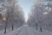 «Россети» рассказали,  в каких районах Псковской области ледяные «шубы» оставили жителей без света