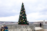 Экоактивисты облили краской рождественскую ель в немецком торговом центре