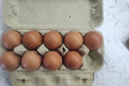 Когда в России подешевеют яйца: прогноз эксперта