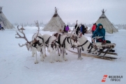 Когда на Ямале отметят День оленевода в 2024-м: график праздничных дней