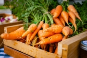 Почему морковка и черника бесполезны для здоровья глаз: объясняет диетолог Ионова