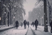 Москвичей предупредили об аномальных морозах на Рождество