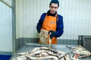 Шеф-повар Гуряев перечислил признаки свежей и вкусной рыбы