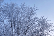 Кубай рассказал о 40-градусных морозах в конце января в Приморье