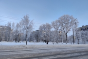 Кубай рассказал, как начнется февраль в Приморье: тепла можно не ждать