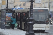 В Ленобласти ищут 20 подрядчиков для закупки и модернизации автобусов