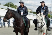 В Ростовской области появится конная полиция