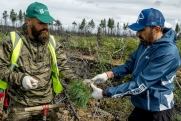Как национальный проект помог властям России изменить ситуацию в экологии