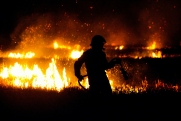 Житель Приангарья заплатит почти 1,5 млн рублей за лесной пожар