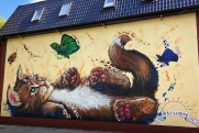 Автор МУРмуралов рассказал, почему рисует котиков на домах в Зеленоградске