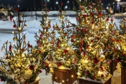 Свердловчанам рассказали, как правильно утилизировать новогоднюю елку