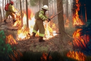 Названа причина лесного пожара в Ялте