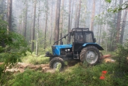 Красноярским лесным инспекторам купят технику на миллионы