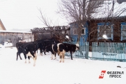 Около 300 млн рублей потратят на благоустройство сел в Вологодской области