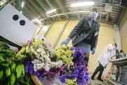 На Средний Урал к весеннему празднику привезли почти тысячу тонн цветов