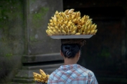 Индия начала поставлять бананы в российские регионы