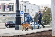 В Краснодаре эвакуировали торговый центр из-за угрозы минирования
