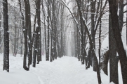 Снежный циклон обрушится на Приморье в последние выходные марта