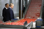 Путину показали на Ставрополье робота, который собирает помидоры