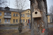 Расселение аварийного жилья: как изменит жизнь зауральцев указание президента РФ