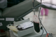 Более 600 человек сдали кровь в Подмосковье