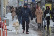 Дожди и снег: какой будет погода в Приамурье в выходные