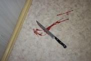 На Сахалине пациент больницы пырнул ножом в шею полицейского