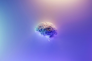 Нейробиолог Ключарев рассказал, можно ли развить уникальные способности мозга
