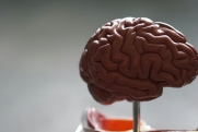 Ученые объяснили, что провоцирует быстрое старение мозга