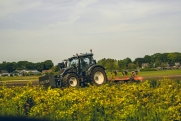 ЕС ограничит импорт сельхозпродукции с Украины