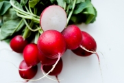 Физиолог Лялина назвала лучший овощ для поддержания здоровья весной